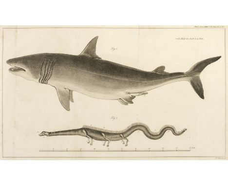 Royal Society. Philosophical Transactions of the Royal Society, 18 parts, 1796-1808, comprising 1796-99, parts I &amp; II; 18