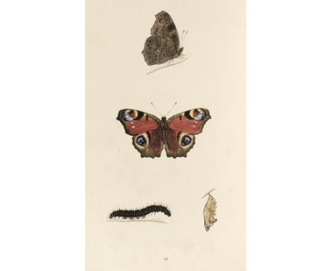 Morris (F.O.) A History of British Butterflies, London: Groombridge and Sons, 1864, 71 hand-coloured lithograph plates, 2 unc