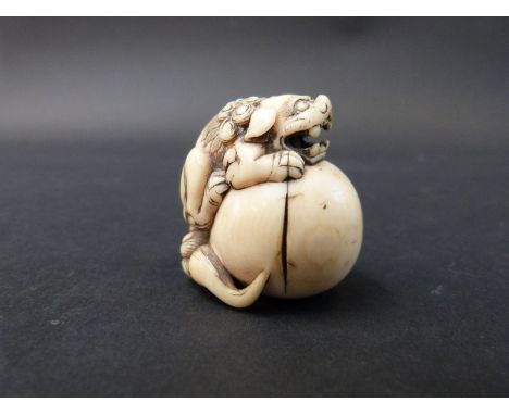 A Japanese Meiji period carved ivory netsuke of a mythical lion or komainu mounting a sphere, 4cm tall