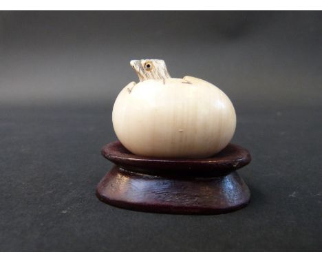 A Japanese carved ivory netsuke of a chick emerging from an egg on a wooden plinth, 5cm tall