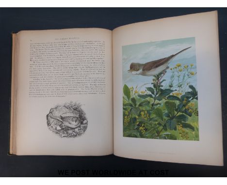 R Bowdler Sharpe, Birds in Nature (Boston, Estes & Lauriat 1888). Green decorative boards, an edition limited to 210 copies o