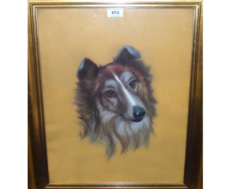 F DEPT Sheltie portrait head, signed, pastel, dated, (19)54, 49 x 39cm Condition Report: Available upon request