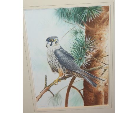 Assorted pictures and prints, gilt framed wall mirror etc 