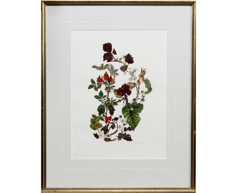 * ELSPETH HARRIGAN (SCOTTISH 1938 - 1999), UNTITLED watercolour on paper, signed in pencilmounted, framed and under glassimag