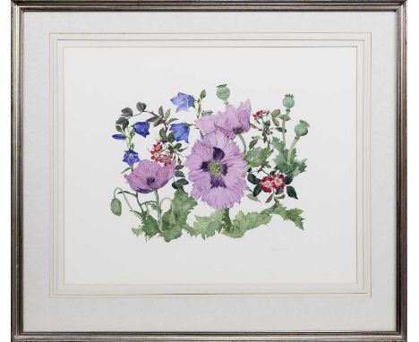 * ELSPETH HARRIGAN (SCOTTISH 1938 - 1999), PURPLE POPPY watercolour on paper, signed in pencil mounted, framed and under glas