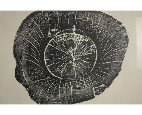 A woodcut print. Listed as lithograph on the reverse of the frame. Titled 'Darlington -100 Years'. Framed and glazed. H.60 W.