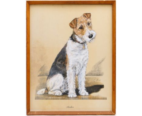 K C Brown (active 1937-62), 'Stinker', portrait of a wire haired fox terrier, watercolour, pen and ink, signed and dated 1947