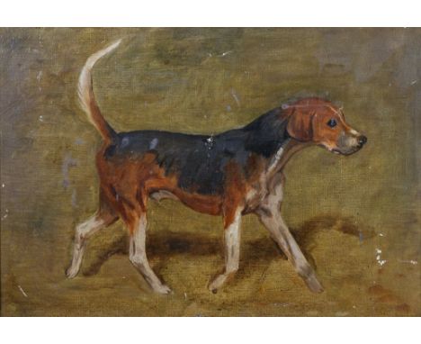 Alfred Grenfell Haigh (1870-1963) British. The Sketch of a Hound, Oil on Artists Board, Inscribed on a label on the reverse, 