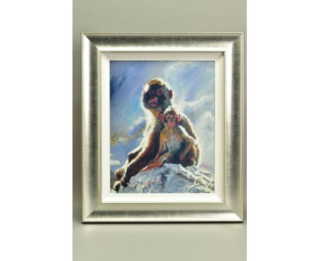 ROLF HARRIS (AUSTRALIAN 1930) 'BACKLIT BABOON - GIBRALTAR' a limited edition print 54/75, signed bottom left with certificate