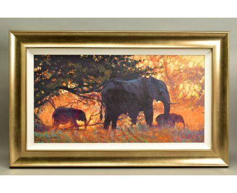 ROLF HARRIS (AUSTRALIAN 1930) 'BACKLIT GOLD' a limited edition print 27/195 depicting elephants in the bush, signed bottom le