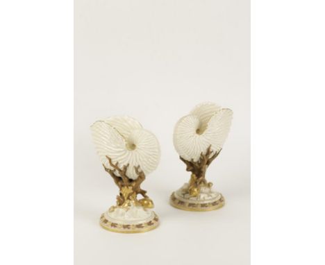 A PAIR OF ROYAL WORCESTER PORCELAIN NAUTILUS SHELL SPOON WARMERS the nautilus shells supported by a gilt coral stem on a shel