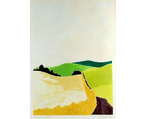 Barbara Newcombe (British, b. 1936). 'Fairweather II', limited edition print, signed, titled and dated 1981. 61 x 41cm. Frame