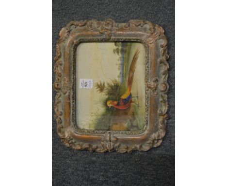 A small watercolour painting of an exotic pheasant in a decorative frame.