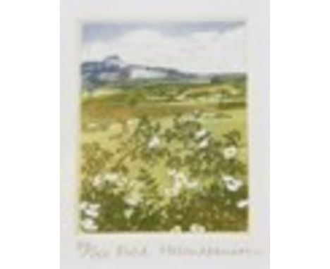 Helen Hanson Limited edition colour engraving"Field", 87/150S ParkisonArtists Proof print"Noah" David T BowyerSeven limited e