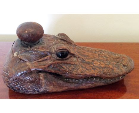Vintage inkwell a stuffed Caiman head