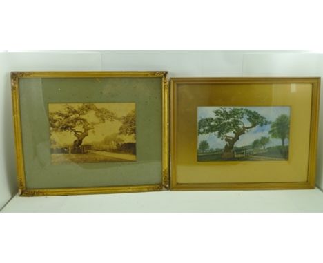 19TH CENTURY SCHOOL Study of a Tree beside a Gate, 18cm x 30cm, mounted in gilt glazed frame, together with a framed EARLY PH