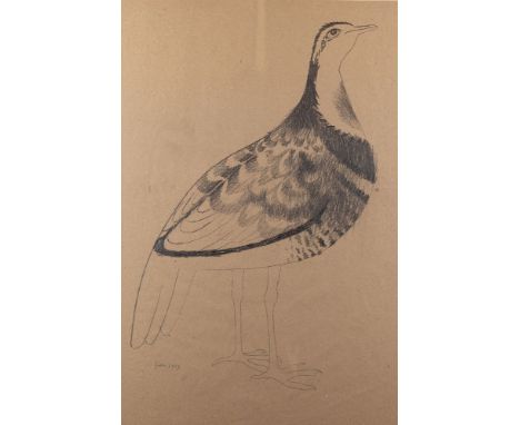 Mary Fedden OBE RA RWA, British 1915-2012 - Partridge, 1969; pencil on paper, signed and dated lower left 'Fedden 1969', 69.5