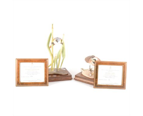 Two Royal Worcester limited edition bird models, modelled by James Adler, including Shore Lark, numbered 41/ 500, 15cm; and B