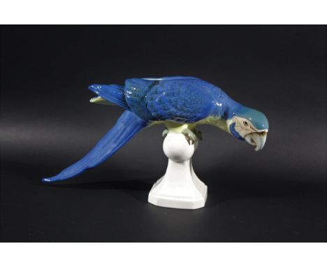 LARGE ROYAL DUX PARROT a large porcelain model of a Parrot with blue plumage, the Bird mounted on a perch. Royal Dux triangle