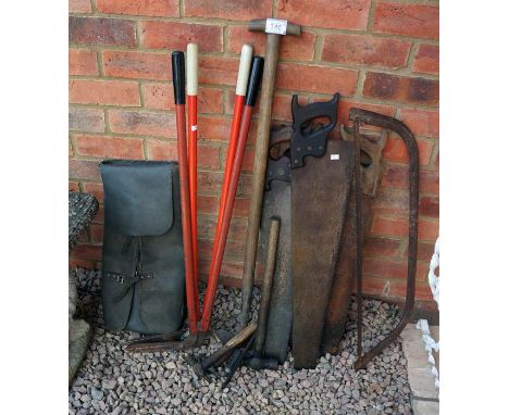 Collection of garden tools