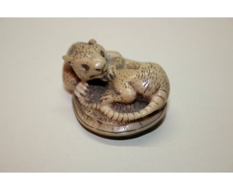A Japanese carved tagua nut netsuke of a rat, signed Shishinkei, 19th century, 4.5cm wide.Provenance: purchased from Ronald C