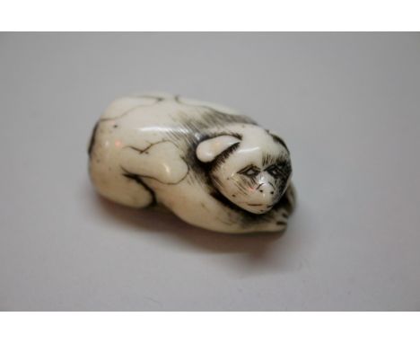 A Japanese carved bone netsuke of a puppy, late 18th/early 19th century, 4cm long.Provenance: purchased from Martyn R Bagley,