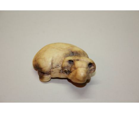 A Japanese carved stag antler netsuke of a recumbent ox, probably 18th century, 6cm wide.Provenance: Martyn R Bagley, 3rd Feb