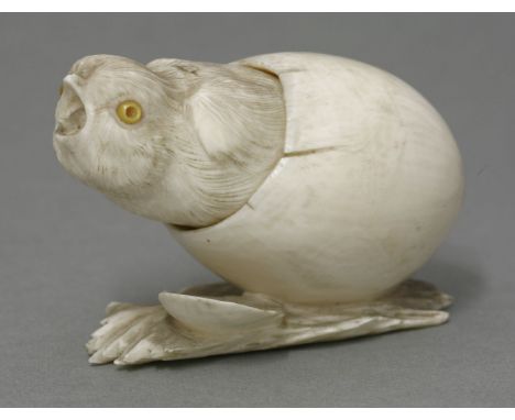 An amusing ivory Chick, late 19th century, emerging from its shell, a broken piece on the straw base, with eyes inlaid in mot