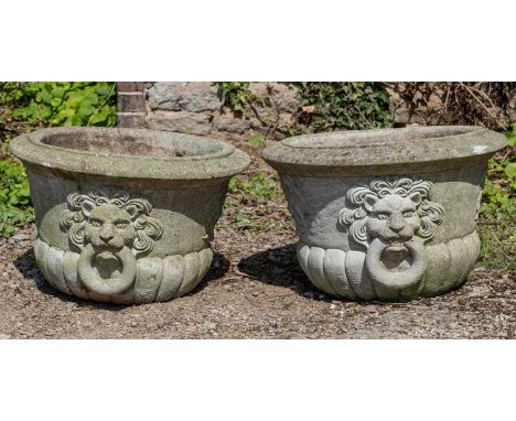 A pair of cast reconstituted stone garden urns with lion mask and ring handles55cm diameter x 35cm highQty: 2In weathered con