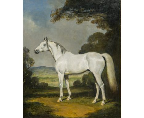LIONEL HAMILTON-RENWICK (1917-2003) British (AR)Sherif, A White Stallion, Before an Extensive Wooded LandscapeOil on board, s
