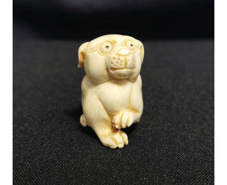 NETSUKE "Liegender Hund", detailreich und auch unter dem Stand geschnitzt; seitlich signiert. Naturalistisch gearbeiteter ruh