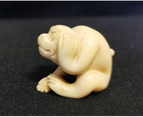 NETSUKE "Affe, sich die Ohren zuhaltend". Wohl einer der Affen aus dem japanischen Sprichwort, detailreich geschnitzt und mit