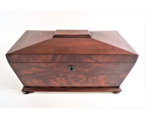 An early 19th century mahogany sarcophagus tea caddy, the raised top with central panel lifting to reveal two hinge lidded ca