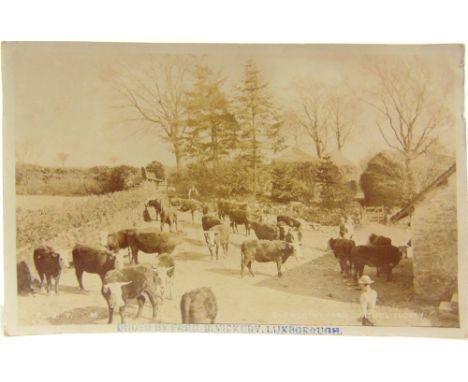 POSTCARDS - ASSORTED  Approximately 192 cards, comprising real photographic views of Gupworthy Farm, Withiel Florey (by Vicke
