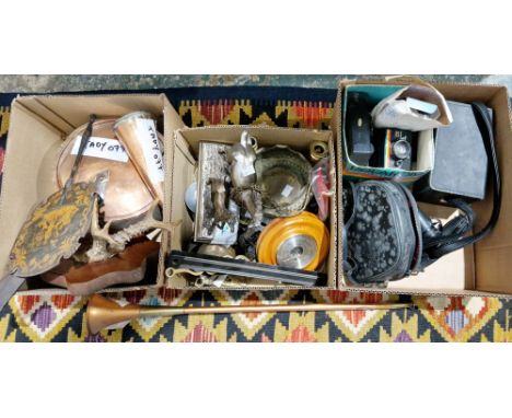 Mixed lot of collectable items including mounted roe deer antlers, copper saucepan with lid, copper funnel, copper horn, hors