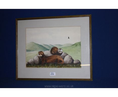 A Goucher print of Pine Martens in a highland setting. 15'' x 10 3/4''