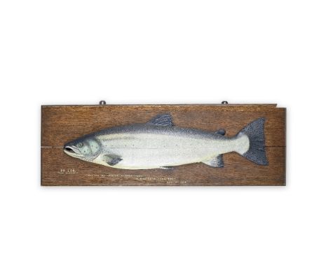 An early 20th century painted wooden trophy fish model of a 20lb. Scottish salmon caught in 1913 by Sir Arnold SomervillePoss