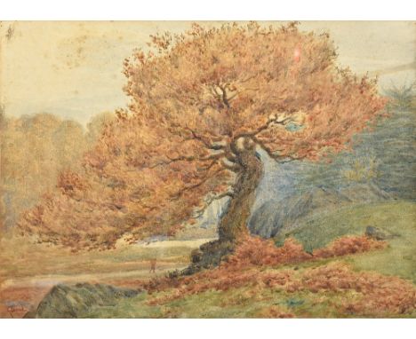 K BOND (19th/20th century) BritishStudy of an OakWatercolourSigned54 x 39 cm, framed and glazed   CONDITION REPORTS:  General