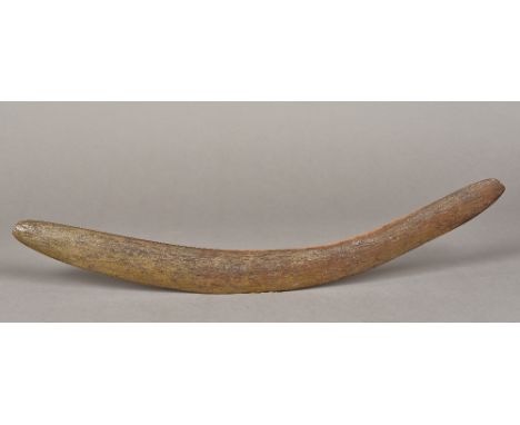 An Australian, possibly Aboriginal, carved wooden boomerangOf typical form.  59.5 cm long.    CONDITION REPORTS:  Some small 