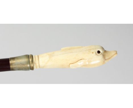 A CARVED BONE HANDLE WALKING STICK "DOLPHIN". 36ins long.