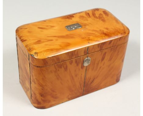 A GOOD REGENCY BLONDE TORTOISESHELL TWO DIVISION TEA CADDY. 6.5ins long.