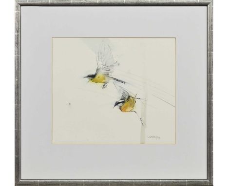 * CLAIRE HARKESS RSW (SCOTTISH b. 1970), BANANAQUITS II mixed media on paper, signed, titled versomounted, framed and under g