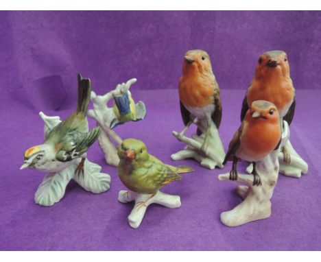 Six Goebel studies, Robin x3, Firecrest, Goldfinch & Bluetit 
