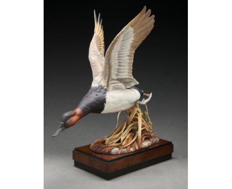 A Royal Worcester model of a Canvas-back Duck designed by Ronald van Ruyckevelt, introduced 1974, 42cm h, black printed mark,