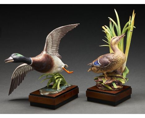 Two Royal Worcester models of mallards designed by Ronald van Ruyckevelt, introduced 1967, 30cm h and smaller, black printed 