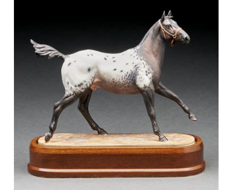A Royal Worcester equestrian model of an Appaloosa Stallion designed by Doris Lindner, introduced 1969, 23.5cm h, black print