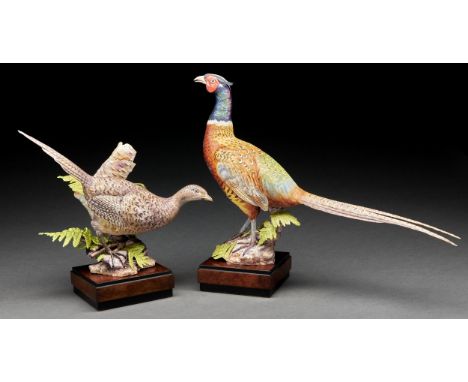 Two Royal Worcester models of ring-necked pheasants designed Ronald van Ruyckevelt, introduced 1967, 36cm h and smaller, blac