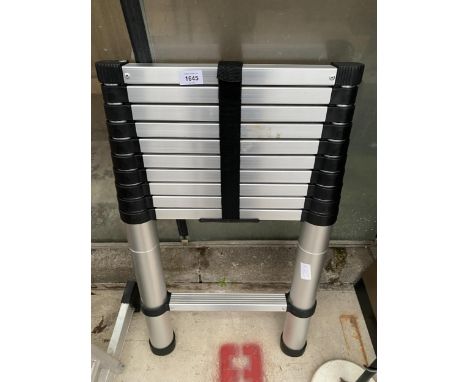 A TEN RUNG TELESCOPIC ALUMINIUM LADDER 