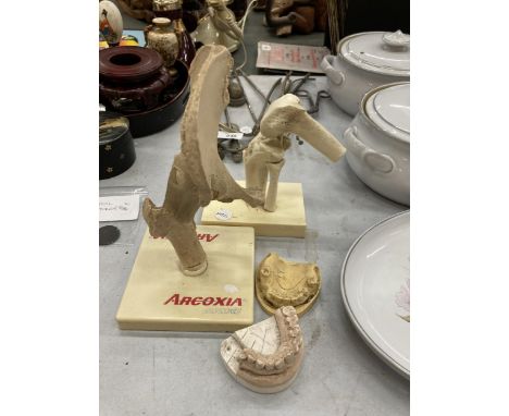 A GROUP OF VINTAGE MEDICAL DISPLAYS, ARCOXIA, TEETH ETC 