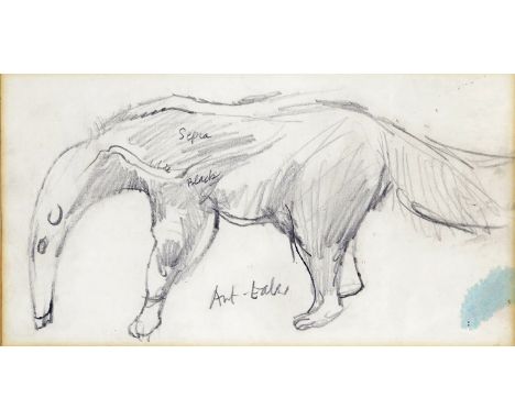 ‡ John Minton (1917-1957) Ant-Eater Titled and inscribed with colour notations Pencil 13 x 23.75cm; 5 x 9¼in Exhibited: Sally